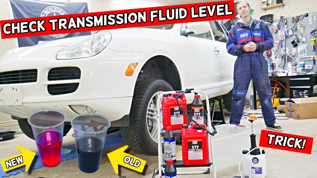How To Check Transmission Fluid Oil Level Porsche Cayenne VW Touareg ...