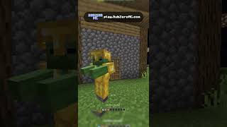 He built THIS on our server 💀 #minecraft #shorts #serverlife