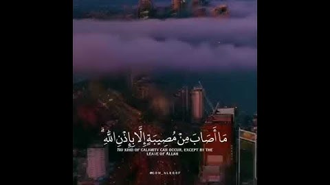 (ما اصاب من مصيبة إلا بإذن الله ومن يؤمن بالله يهدي قلبه)سورة التغابن _ماهر المعيقلي