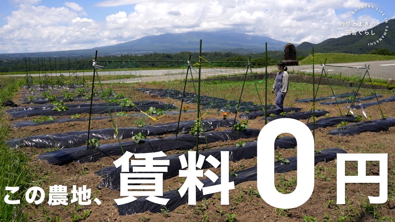 田舎で農地を借りる３つの方法丨プロ農家じゃなくても借りられます。