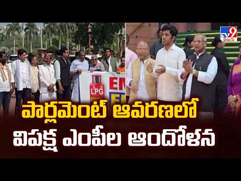 Opposition MPs Protest in Parliament! : పార్లమెంట్ ఆవరణలో విపక్ష ఎంపీల ఆందోళన - TV9 - TV9