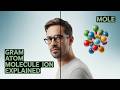 Why Gram Atom, Gram Molecule, and Gram Ion Are Just Moles