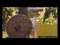 the zen of knife throwing , with Big Lotz