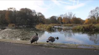 12 shots linked 10bit uncompressed encoded jpeg 2000