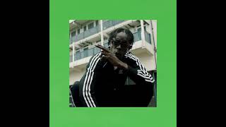 Unkown T Homerton B slowed bass boosted