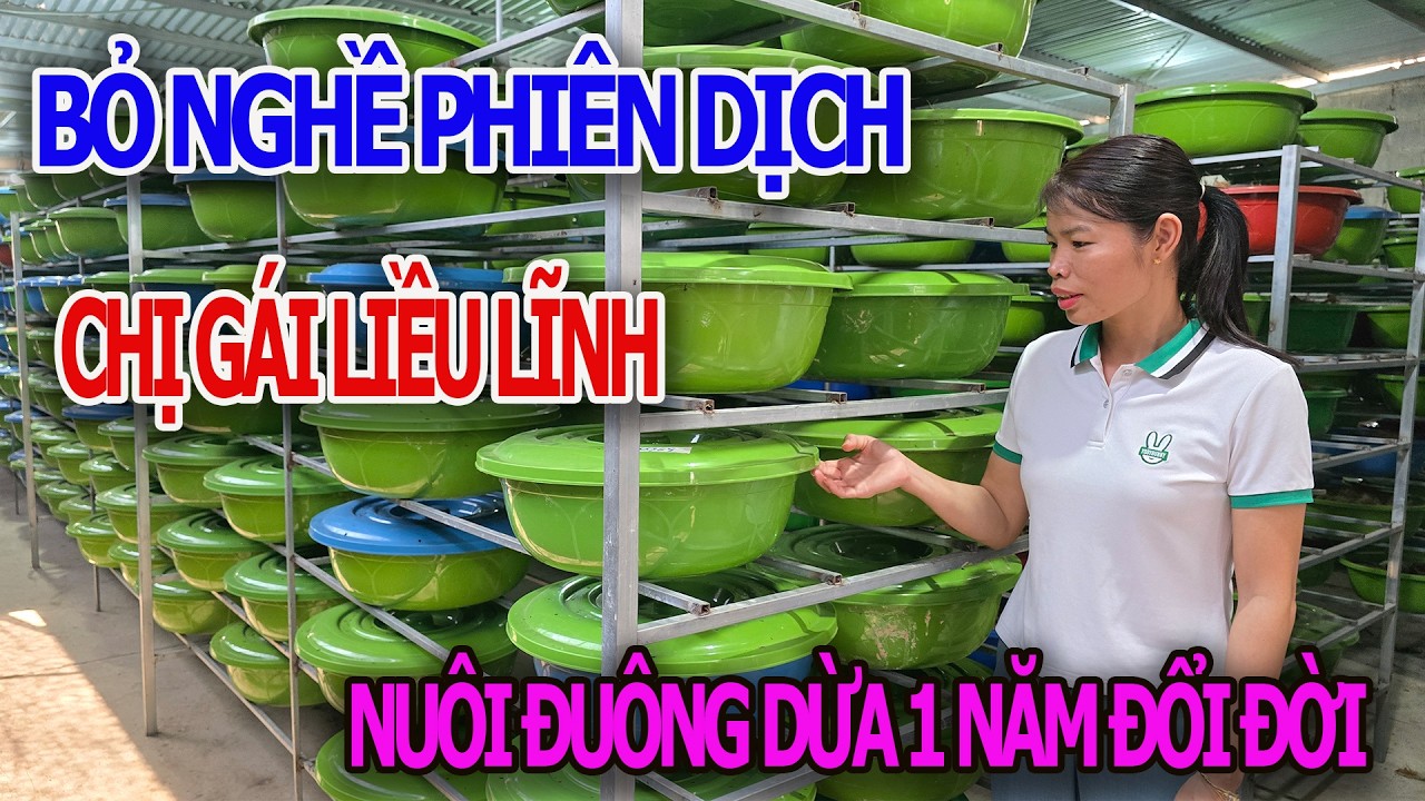 SỐC ! Chị Gái Bỏ Nghề Phiên Dịch , Về Quê Nuôi Đuông Dừa Thu Tiền Tỷ - Trang Trại Đuông Miền Nam