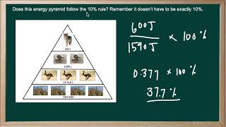 WCLN - Environmental Science 11 - PRACTICE-0603-EX2