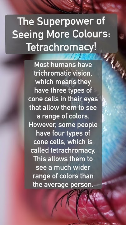 Tetrachromats Vs Yellow A Battle Of The Senses - ilplmoo