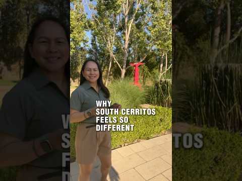 All about South Cerritos