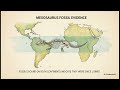 Pangaea When the World Was One