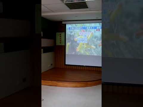 台語連續劇曲   港都戀歌 ( 邱蘭芬主唱 )于文詞曲~真恨又大聲講話~陳星福~老人站第1183首