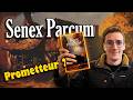 Ref:dkSONBPbDb4 Critique immersive - senex parcum de jean-philippe zendagui