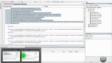 Visual Basic 2008: Create Standalone Custom Control Tutorial