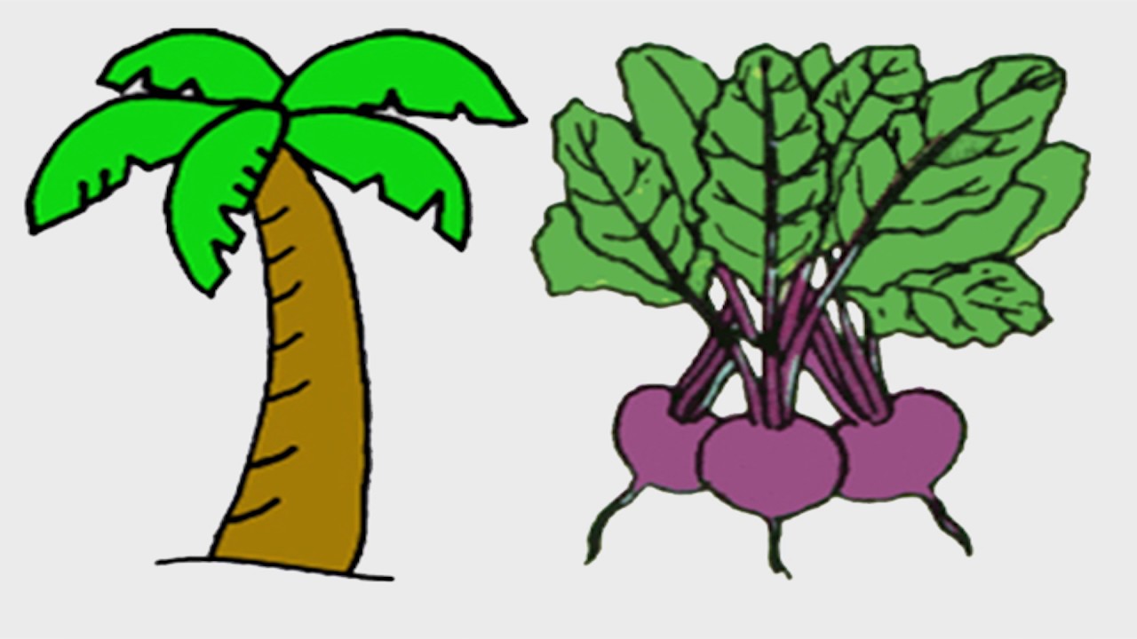 Underachievers Beast Coast Type Beat - OAW (Prod. Al Tree)