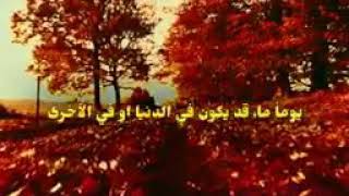 يومآ ما-حالات واتس اب مصطفى الاغا