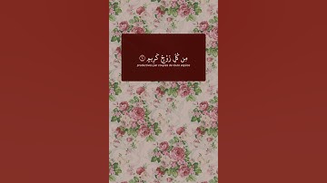 تلاوة خاشعة للقارئ ياسر الدوسري #ياسر_الدوسري #تلاوات #تلاوة_خاشعة #عمار_الصريدي #اكسبلور #quran