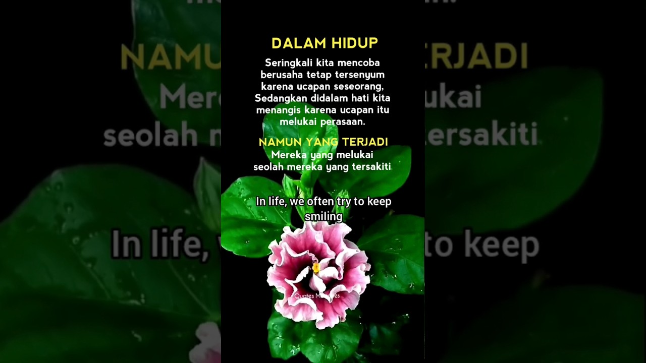 Kata-Kata Bijak tentang kehidupan, penuh makna mendalam