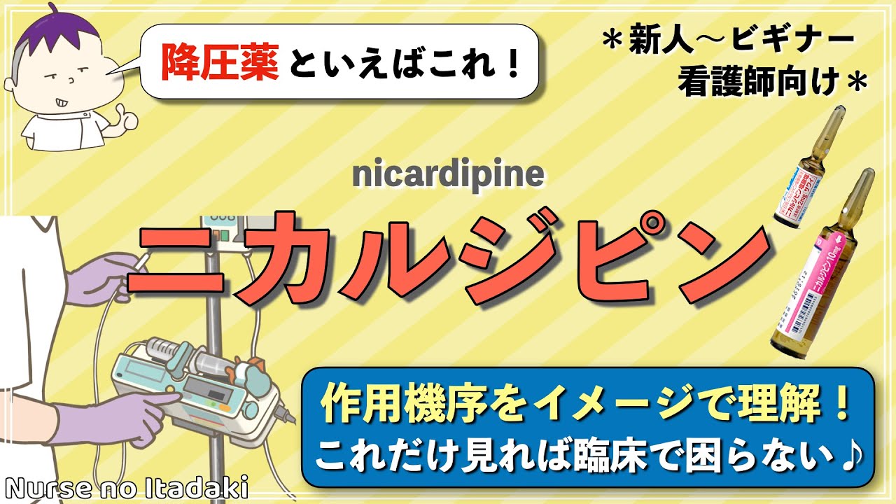 【ニカルジピン徹底解説！】これだけ見れば臨床で困らない！