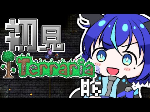 【Terraria】緊急クエスト：ダンジョンを攻略せよ！【群青門紆龍】