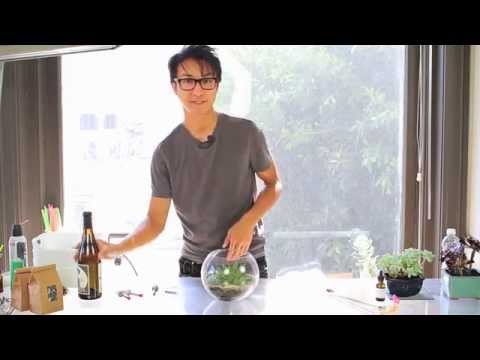 3 DIY Tips for Watering Succulents & Terrariums