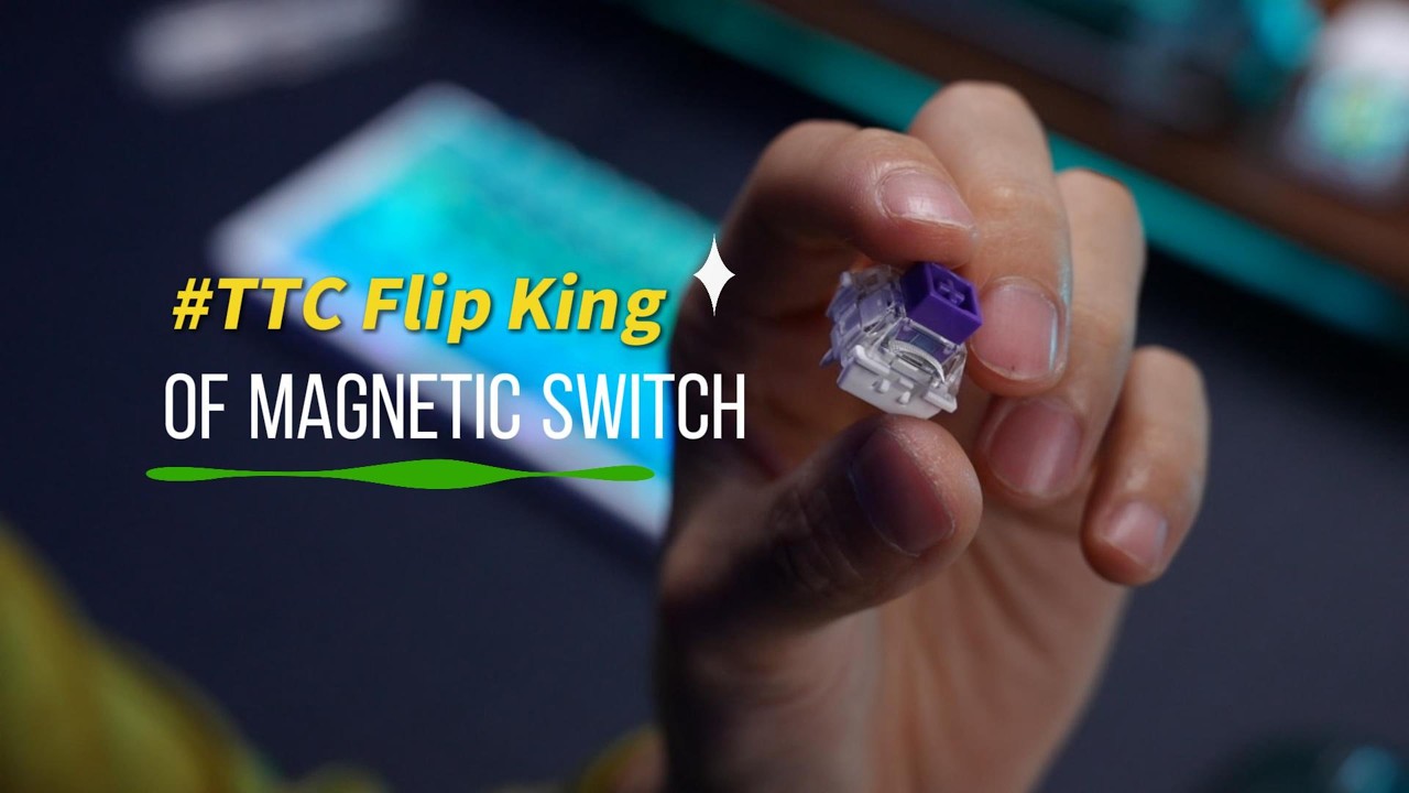 sound test-TTC Flip King HE Switch #keyboardswitches #ttcswitch