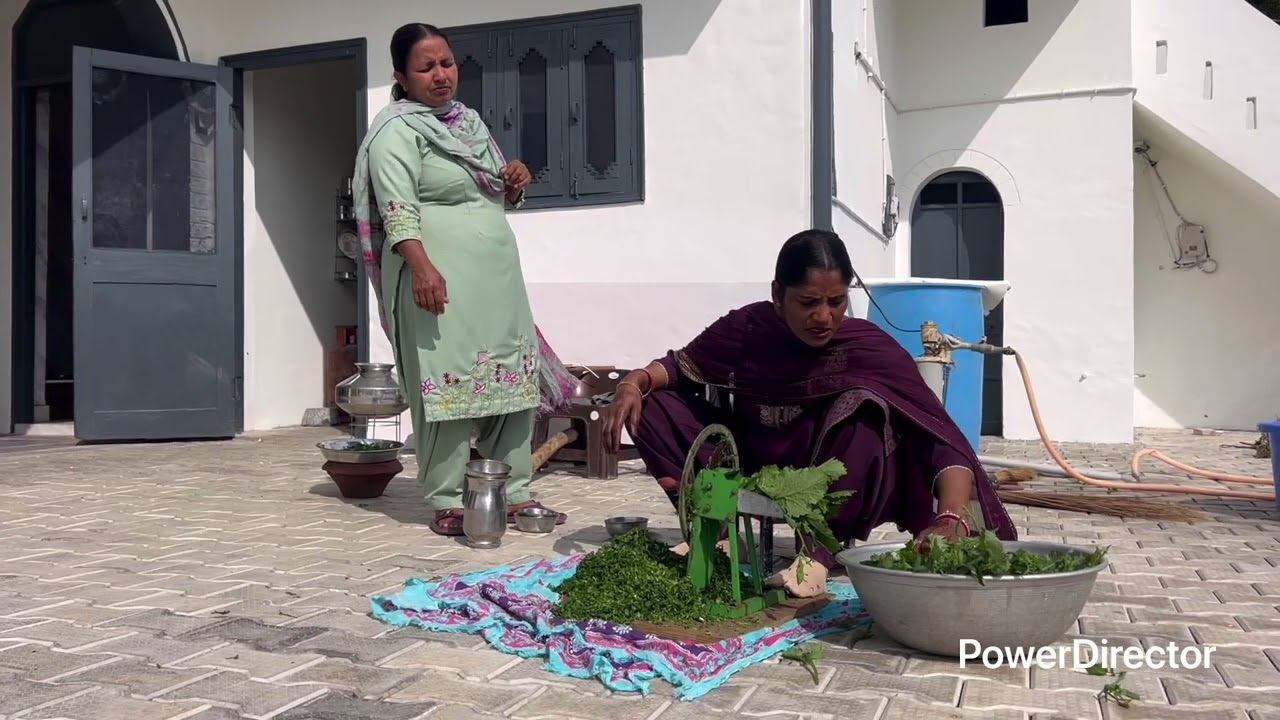 ਸਾਗ ਮੰਗਤੇ ਗੁਆਂਢੀ / sag mangte guandi / ਪੰਜਾਬੀ ਨਾਟਕ / ਇੱਕ ਵੱਖਰੀ ਕਹਾਣੀ #sagmangte #guandi #sidhufamily