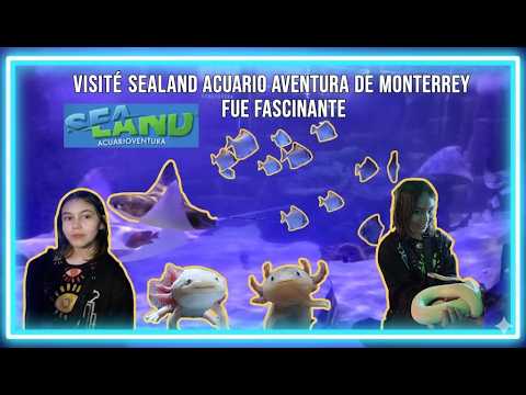 Visite SEALAND Acuario Aventura de MONTERREY Fue FACINANTE ¡ - YouTube