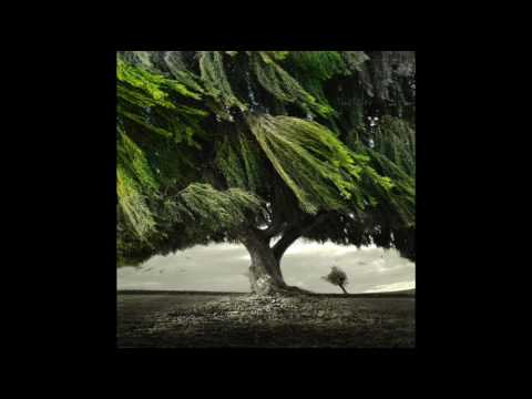 Starsailor - Talk Her Down