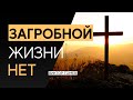 ЗАГРОБНОЙ ЖИЗНИ - НЕТ | Виктор Томев