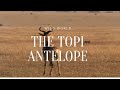 the topi antelope | documentary