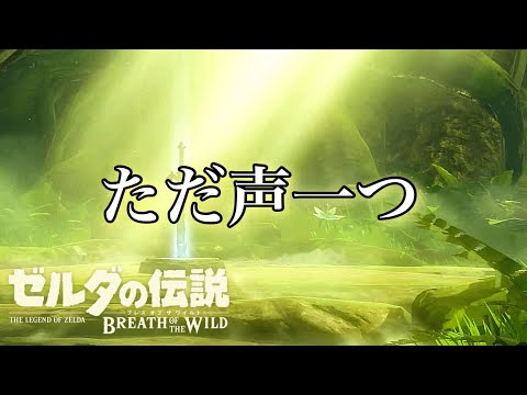 𓆲 貴女はずっと見ていた。【ただ声一つ】 #ゼルダの伝説ブレスオブザワイルド