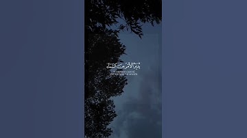 #راحة_نفسية #آيات #quran #قرآن #ايات_قرانيه_قصيره #هدوء #تلاوة_هادئة #foryou #الله #love #fyp #allah