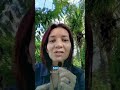 Testimonio Mariu Mindful Business Session