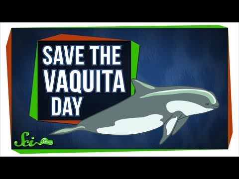 Biodegradable Video