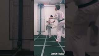 Feint, Then Kick #karate