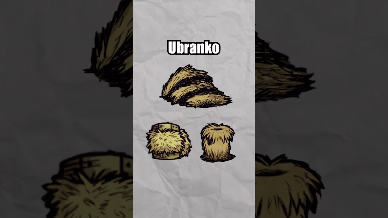 POMOCNY BEARGER W DST