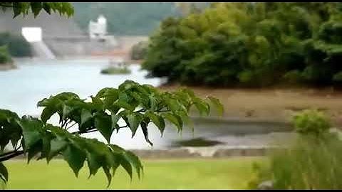 تلاوة رائعة من سورة فاطر .القارئ حسام خضر