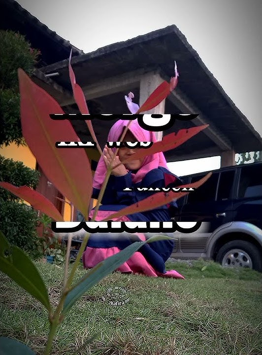 Aku kudu kuat story wa