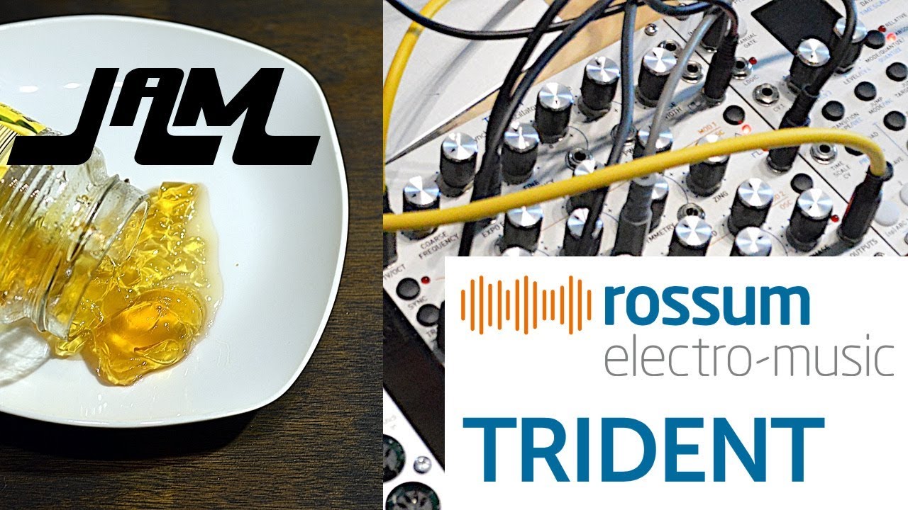 Test: ROSSUM Electro Music TRIDENT, Eurorack Oszillator - AMAZONA.de