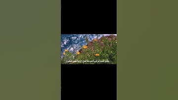 سورة فاطر [٣٤-٣٥] 🤍