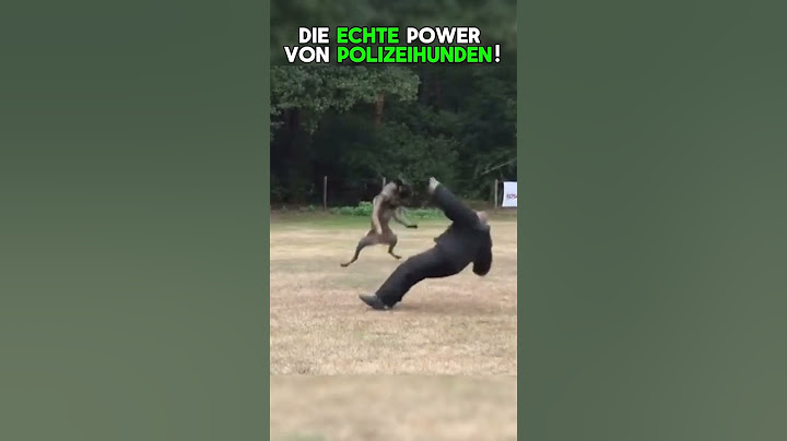 Dieser Polizeihund zeigt seine UNGLAUBLICHE Kraft!