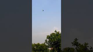 Kites short videos #@P@PrakashSaini5555-y7p