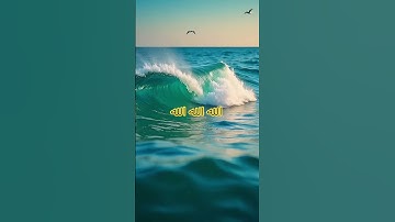 القران الكريم الشيخ ياسر الدوسري