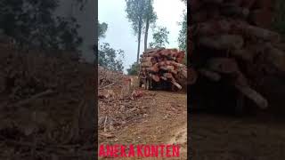 truck balak Malaysia #shorts