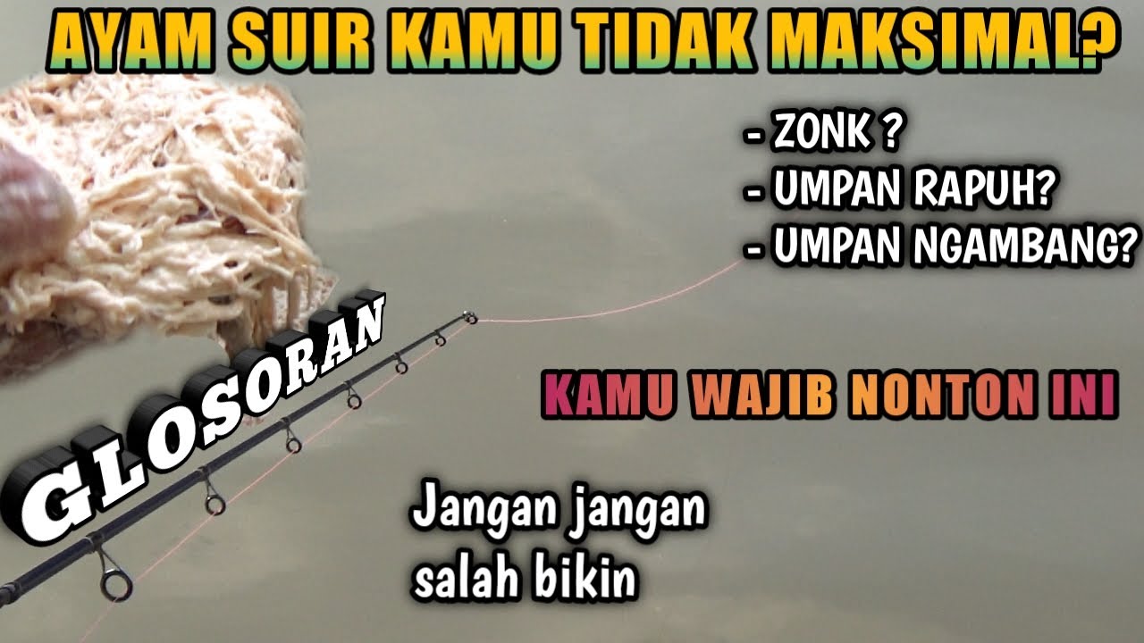 TUTORIAL LENGKAP AYAM SUIR GALATAMA LELE LANGSUNG DARI AHLINYA AUTO NGACIR...