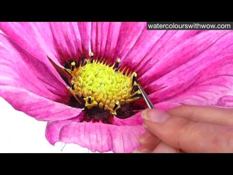 How to paint a realistic flower centre using tone - in watercolour with Anna Mason
