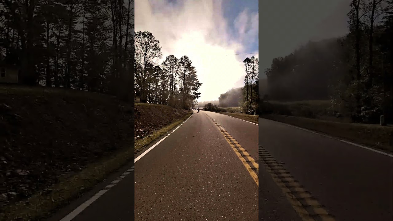 Foggy Morning on Route 60 in Suches Georgia 