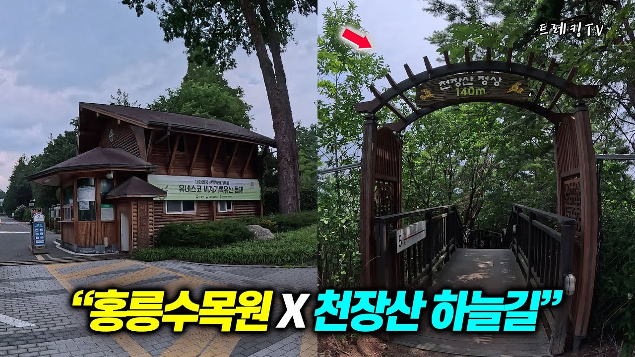 [서울도심]천장산 x 홍릉수목원(홍릉숲) | 명성황후 능터부터 숨겨진 하늘길까지! 고려대역 도심 힐링 트레킹