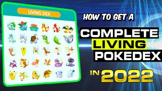 How to Get a Living Pokedex in 2022 (Pokemon Gen 8)