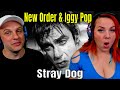 New Order &amp; Iggy Pop - Stray Dog | THE WOLF HUNTERZ REACTIONS